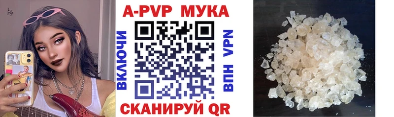 А ПВП СК КРИС  закладки  Елизаветинская 