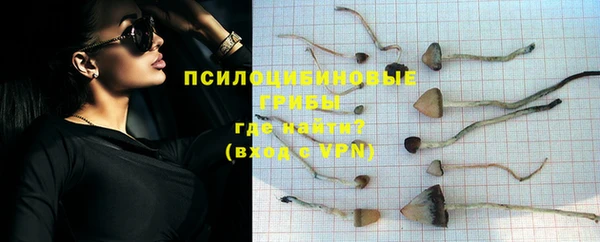 дживик Лагань