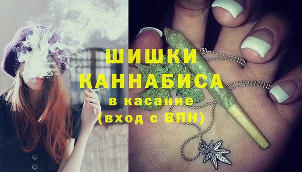 мяу мяу мука Лабытнанги
