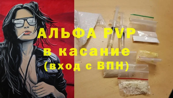 мяу мяу мука Лабытнанги
