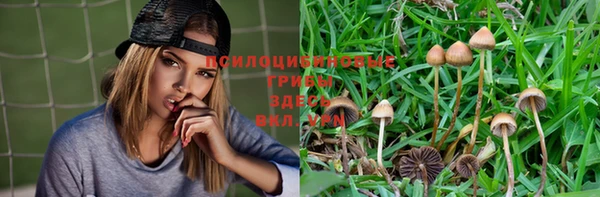 дживик Лагань