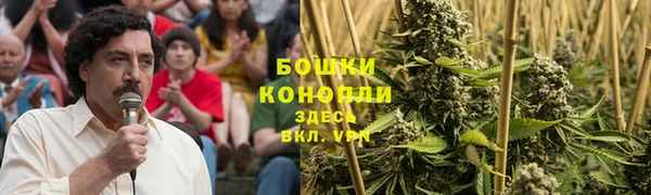 дурь Липки