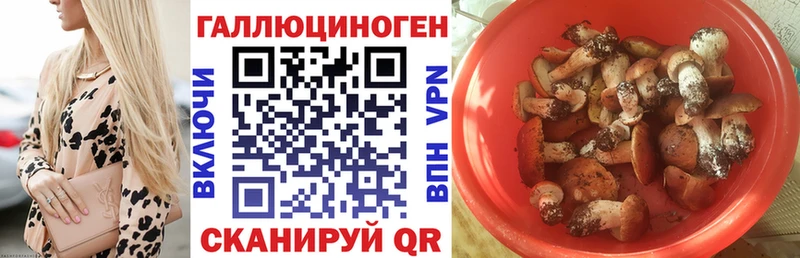 Галлюциногенные грибы мицелий Елизаветинская